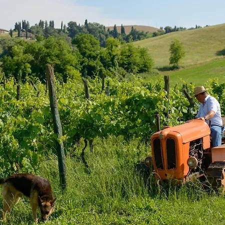 Agriturismo Pretenzano
