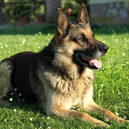 Alloggio per agriturismo Pretenzano Volterra