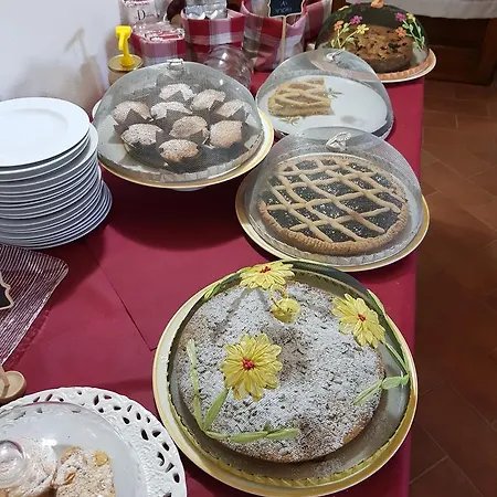 Gospodarstwo agroturystyczne Pretenzano Volterra