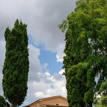 Pretenzano * Volterra